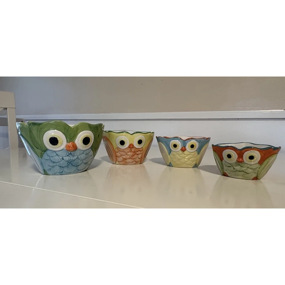 Pier 1 Imports Hand Painted Owl Measuring Cups Set 4 Stoneware Colorful Vintage